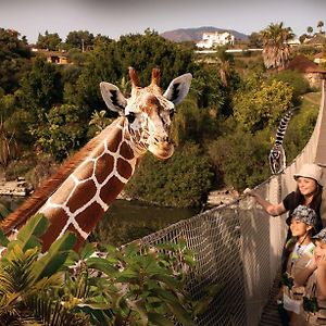 Hotel Selwo Lodge - Animal Park Tickets Included